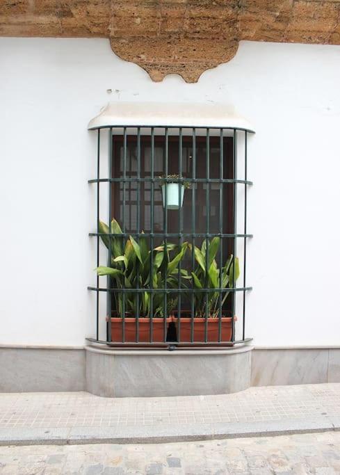 Fancy Apartment In A Historic House, Chiclana City Center By C. Dreams Chiclana de la Frontera Exteriör bild