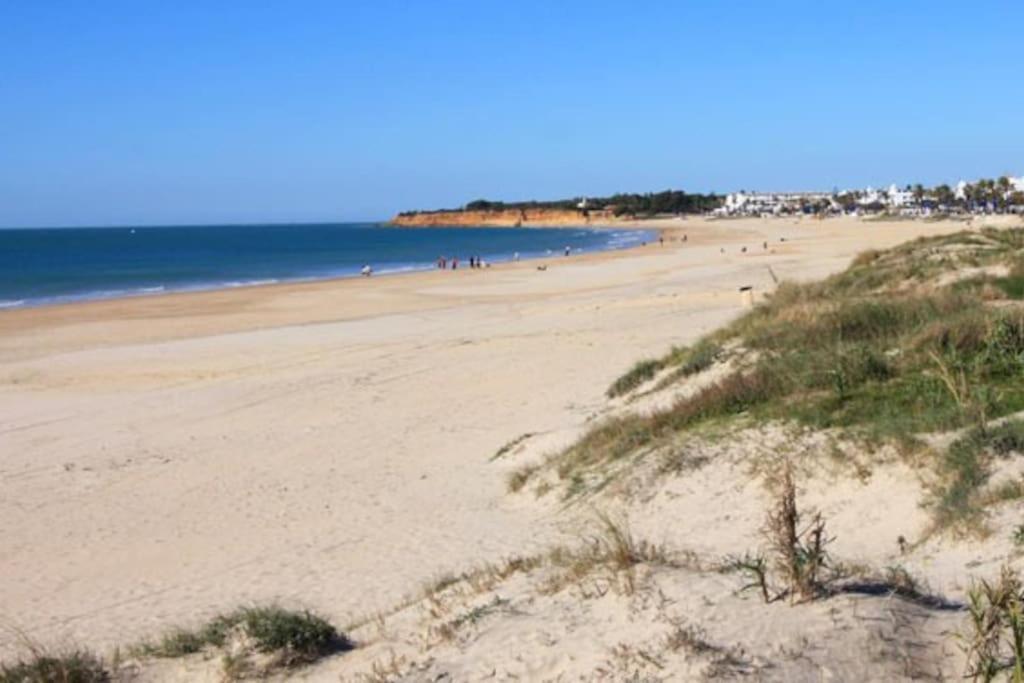 Fancy Apartment In A Historic House, Chiclana City Center By C. Dreams Chiclana de la Frontera Exteriör bild